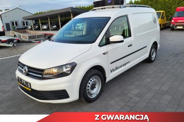 Cady 2.0 Maxi Chłodnia Carier zasilanie 230V na Gwarancji